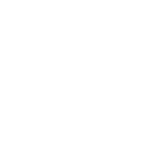 Paragon Products Iowa Made in the USA icon